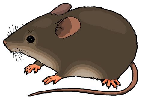 Mouse Clip Art At Vector Clip Art Online Royalty Free