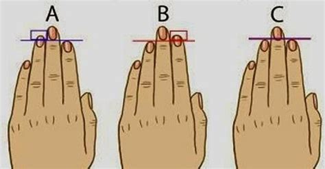 Heres What Your Finger Length Reveals About Your Personality