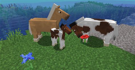 Horse Mods For Minecraft Pe 121 Players Last Ping 1 Hour Ago