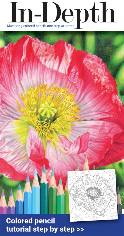 Drawing Flowers In Colored Pencil On Drafting Film Is Almost Like Magic