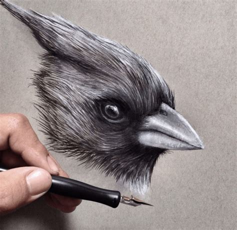 Stunning Animals Realistic Pencil Drawing By Jonathan Martinez