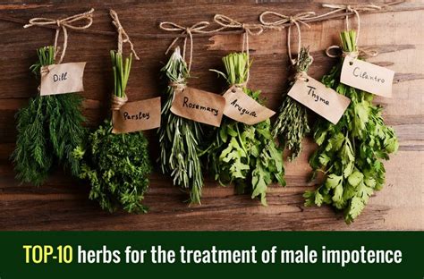 Top 10 Herbs That Increase Male Potency