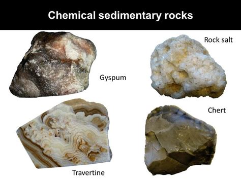 Sedimentary Rocks Types And How They Are Formed ️2024 ️ Rocks For Kids