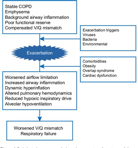 Figure 1 From Oxygen Therapy In Acute Exacerbations Of Chronic