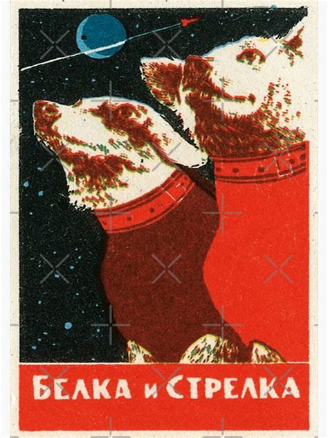 Laika Soviet Space Traveler Dogs Soviet Space Art Ussr Design