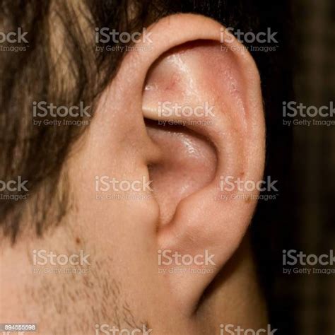 Male Ear Adherent Earlobe Closeup Stock Photo Download Image Now
