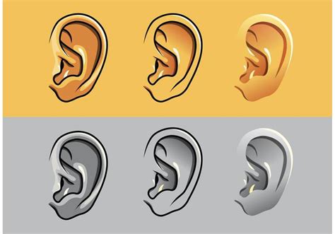 Human Ear Vectors Download Free Vector Art Stock Graphics And Images