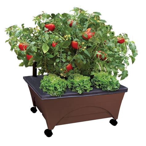 This is an easy backyard raised planter bed which only takes the skill of cutting a p… Shop EMSCO GROUP 24-in L x 20-in W x 10-in H Resin Raised ...