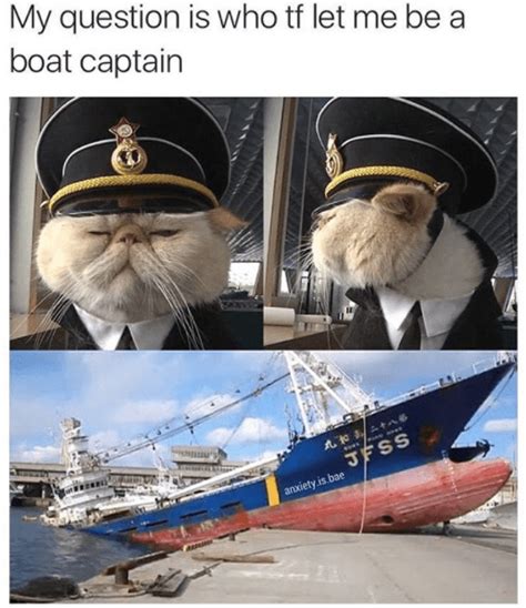 22 Cat Memes That Are Both Ridiculous And Hilarious Boat Captain Cat