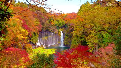 Shiraito Falls Japan In Autumn 10 Hours Water White Noise Youtube