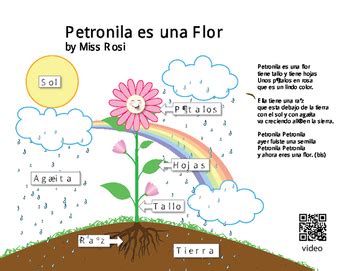 Plant parts and their functions classroom video edition. Spanish Parts of a Plant Coloring Page and Song by mindymarissa | TpT