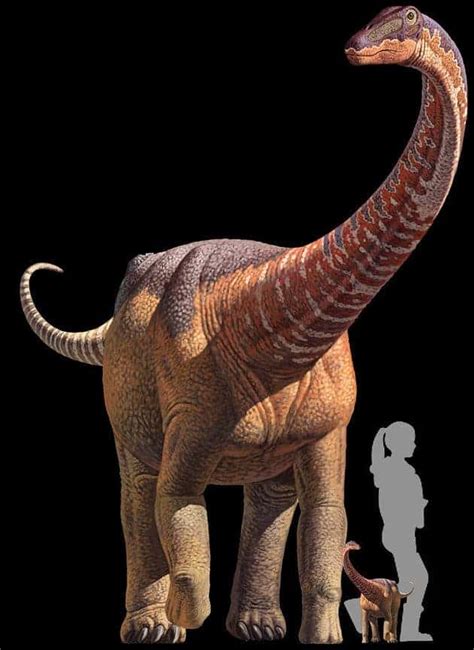Some Sauropod Babies Looked Like Adults Since They Hatched And Were