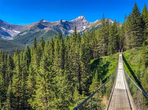 A Guide To Blackshale Suspension Bridge Kanaskis Ab