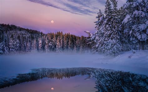 3840x2400 Earth Winter Fog Snow Trees Lake 4k Hd 4k Wallpapers Images