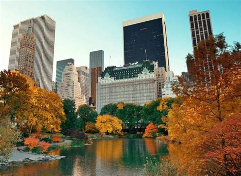 24 Best Places To See New York Fall Foliage With Local Tips