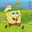 "SpongeBob Schwammkopf": Nickelodeon bestellt frühzeitig Staffel für ...