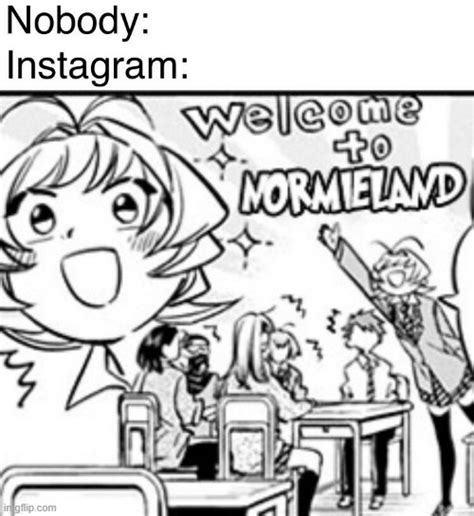 Welcome To Normieland Imgflip