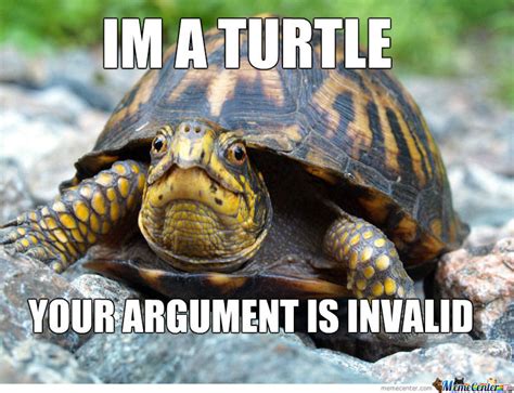 Turtle Memes Turtle Logic
