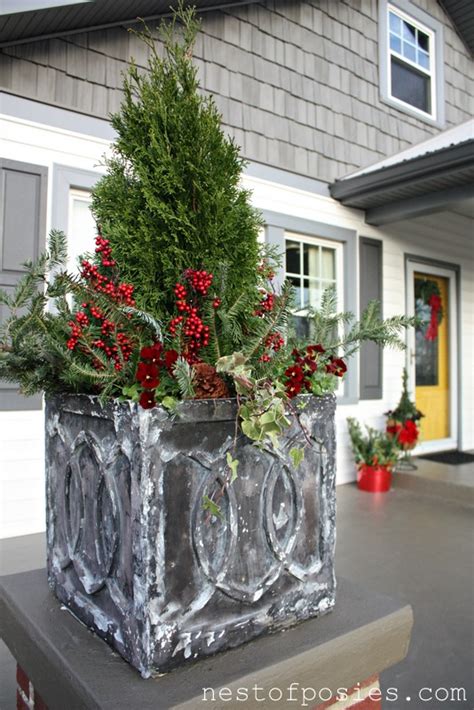 Diy Tips On Winter Flower Containers Nest Of Posies