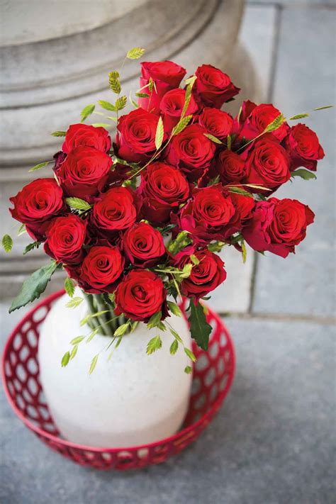 7 Best Red Roses Varieties For 2023 As Rated By Florists Eagle Link