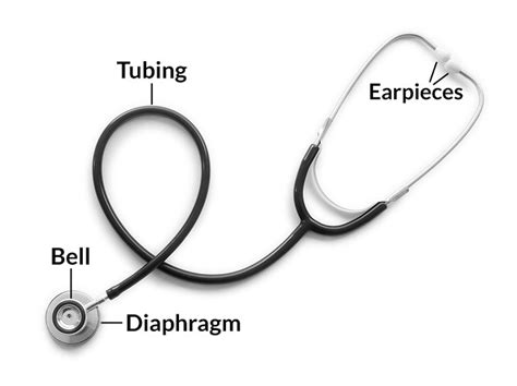 Get To Know The Parts Of A Stethoscope And Their Functions Ghealer