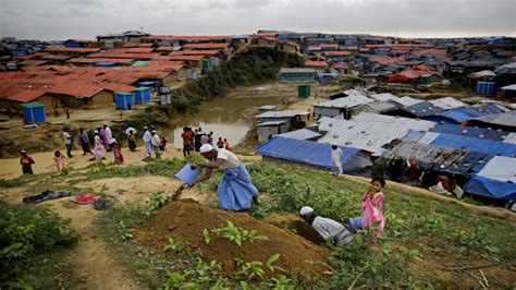 Pegawai agama islam daerah ( ustaz ahmad shah affandie ) pejabat agama islam daerah daro jalan. Bangladesh Klaim Pengungsi Rohingya Setuju Direlokasi ke ...