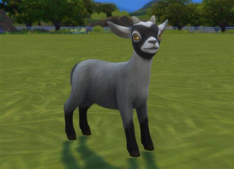Goat The Sims Wiki Fandom