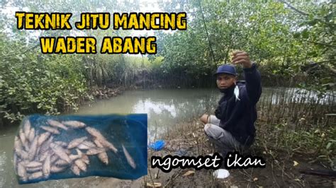 Teknik Jitu Mancing Wader Abang Ngomset Ikan Bang Tkm Youtube