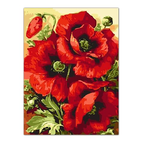 Frameless Poppy Flower Diy Frameless Pictures Painting By Numbers