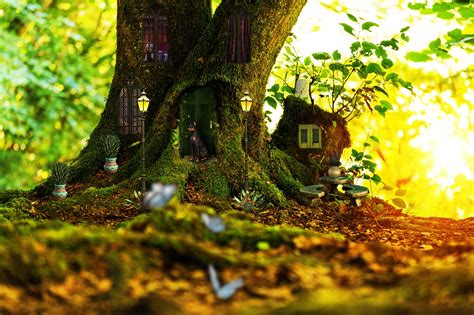 Bedtime Stories For Kids The Enchanted Forest A Tale Of Kindness