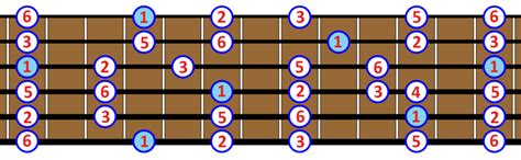 The Major Pentatonic Scale Notes And 5 Positions