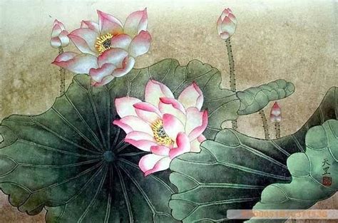 Chinese Lotus Paintings China Lotus Art Scrolls Pictures Images