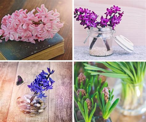 Some images used in this set are licensed under creative commons through flickr.com. A Beginners Guide To Floral Design: 32 Most Commonly Used ...