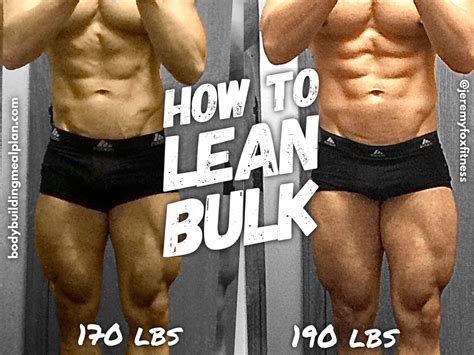 mens lean bulk workout plan