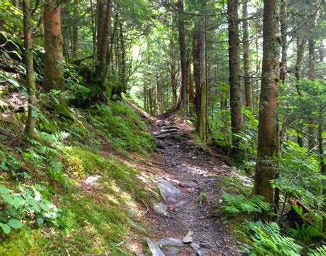 Top 10 Summer Activities Great Smoky Mountains National Park Smoky