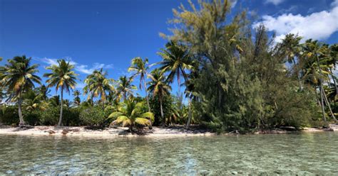 La nouvelle saison arrive bientôt. L'île de Taha'a en Polynésie française, où sera tournée la prochaine saison de Koh-Lanta dès ...