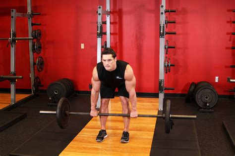 The trap bar deadlift loads the glutes, back. Romanian Deadlift Exercise Guide and Video