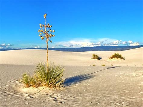 White Sands Iphone Alamogordo Nm Jim Nix Flickr
