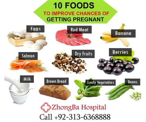 Foods that are packed with protein include: 16 best Male and Female Infertility & Fertility images on ...