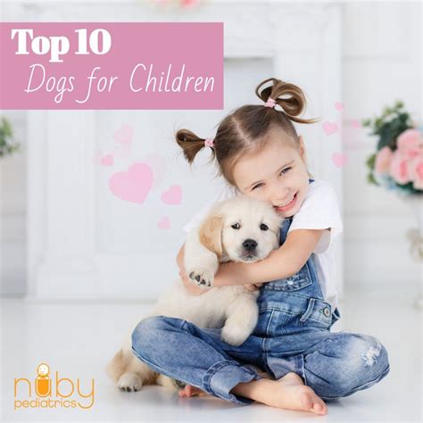 Top 10 Best Dog Breeds For Children Nuby Pediatrics