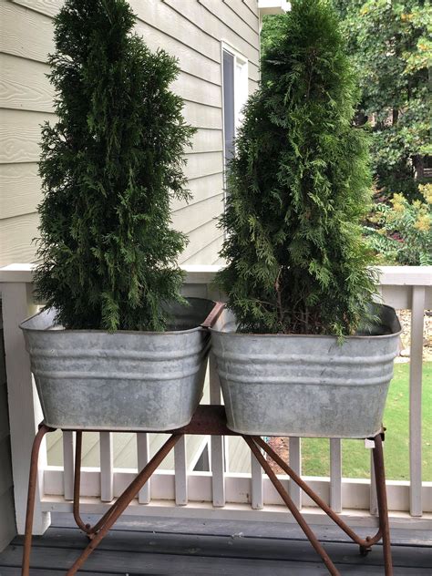 2030 Decorative Trees For Front Porch