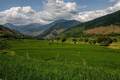 Lolab Valley Srinagar Pahalgam Holidify