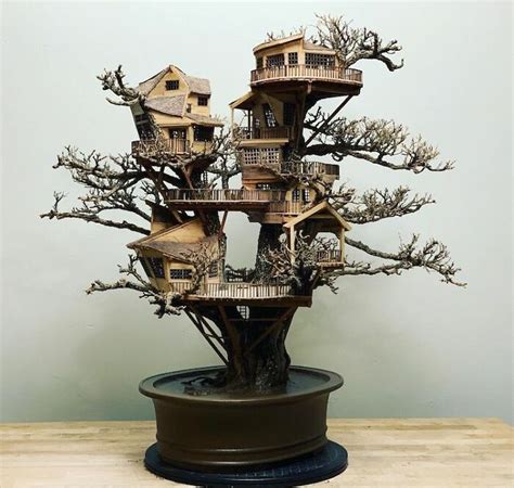 24 Photos Of Tiny Treehouses Handcrafted Within Bonsai Trees By The