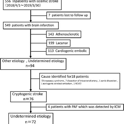 Subtype Of Acute Ischemic Stroke Using The Toast Classification