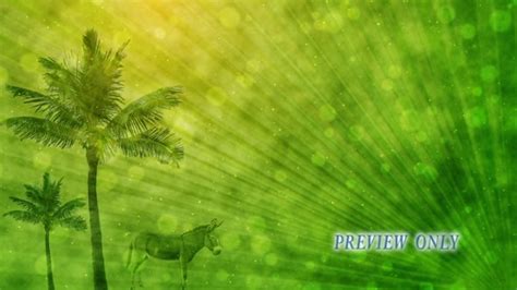 Palm Sunday Motion Backgrounds Videos2worship Motion Backgrounds