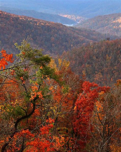 Fall Color Ponca Arkansas Fall Colors Scenery Ponca