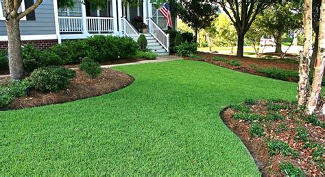 What Is The Best Grass To Grow In South Carolina