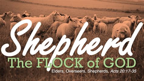 Shepherd The Flock Of God Part 2 151st Street Church Of Christ