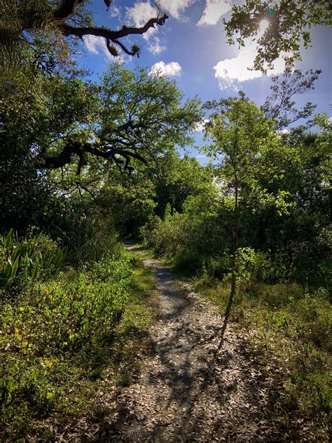 Tree Tops Park Davie Florida