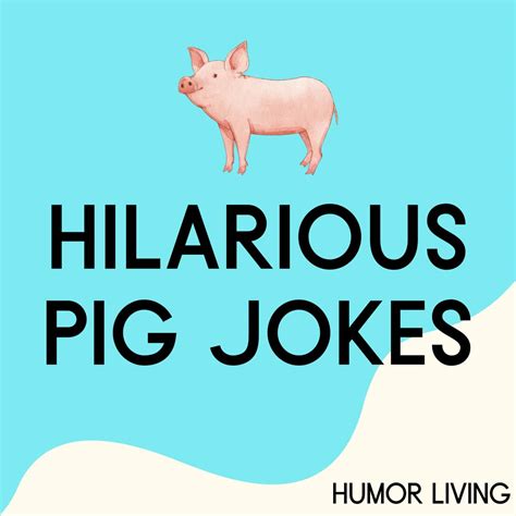 80 Hilarious Pig Jokes To Make You Oink With Laughter Humor Living